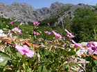 Nationalpark Paklenica